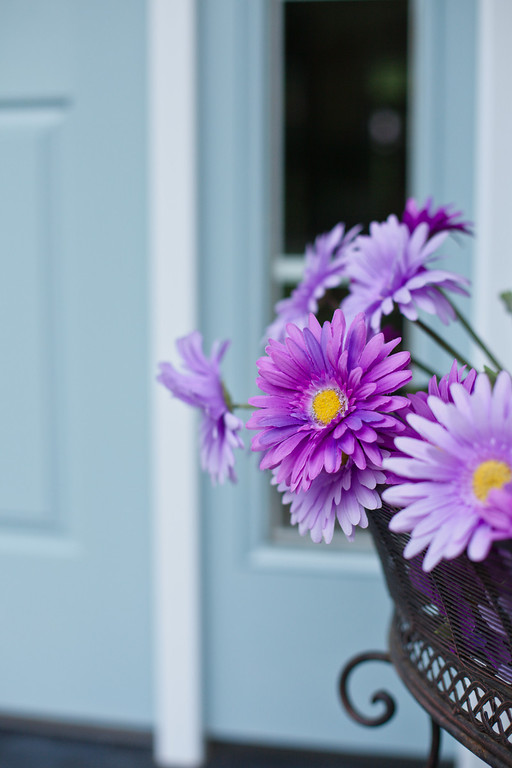 IMAGE: http://philadelphia.smugmug.com/People/Mac-Family/Ava/i-p3LTz68/0/XL/IMG0027-XL.jpg